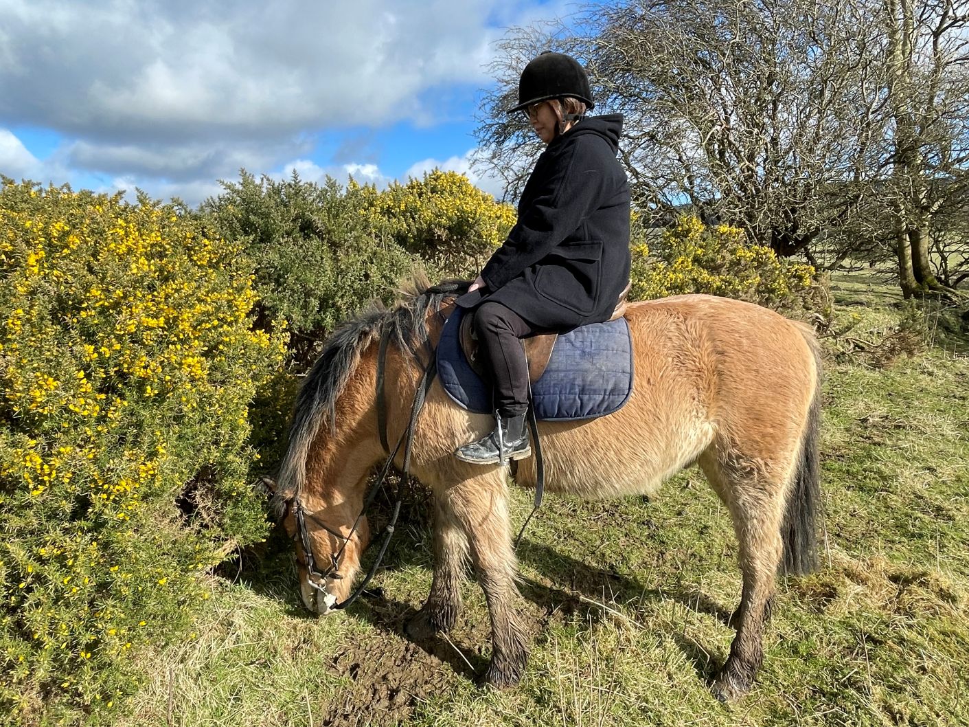 アイルランド留学　乗馬　ネース留学　Naas ビジネス英語留学